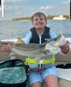 Snook fish caught on cruises, fishing, and tours in FL