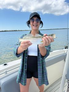 Speckled trout caught while fishing in Matlacha FL waters from boat