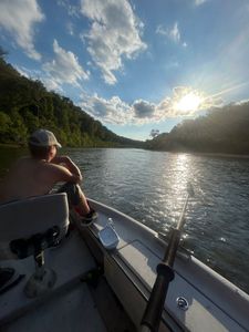 A scenic landscape in MO, featuring a fishing rod and reel.
