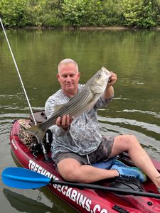 A person fishing for striped bass in MO