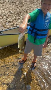 A largemouth bass caught while fishing in MO