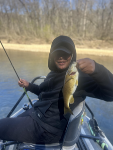 Success on North Fork River with fly fishing!