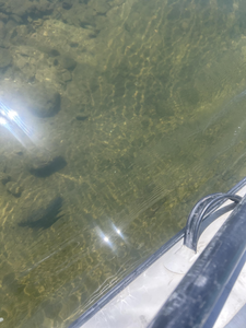 Crystal clear waters reveal perfect fishing conditions below.