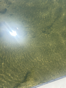 Crystal clear waters reveal the rocky bottom at North Fork River.