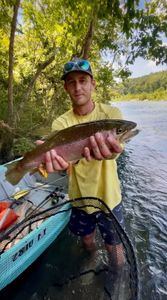 A rainbow trout caught while fishing in Dora