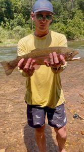 Angler fishing for a rainbow trout in Missouri