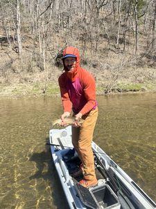Beautiful North Fork River rainbow trout caught!