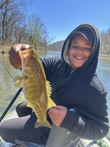 North Fork River smallmouth bass caught using light tackle.