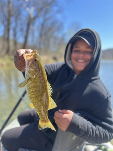 Nice smallmouth bass from North Fork River!
