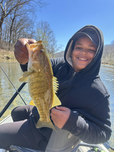 North Fork River smallmouth bass making the day!