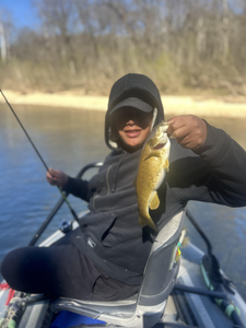 Nice smallmouth bass from North Fork River!