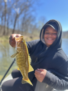 Nice smallmouth bass from North Fork River!