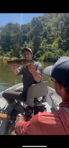 Person fishing in MO