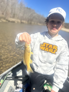 Nice yellow fish caught at North Fork River!
