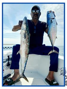 Two king mackerel, 34 inches long, caught while fishing in Calabash