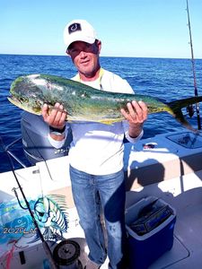 A single mahi mahi or common dolphinfish caught at Calabash