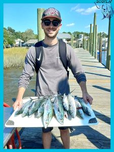 Three fish caught in Calabash