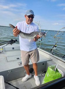 Big Blue Catfish! - Burleson, TX.