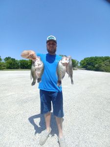 Crappie Joy with Expertise