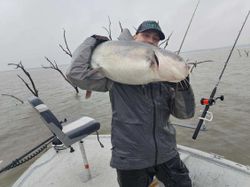 Catfish Extravaganza in Texas