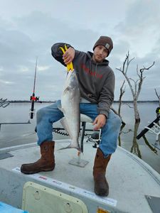 Catfish Thrills on Whitney