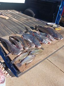 Lake Fishing Bliss Awaits