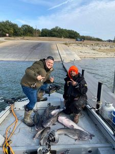 Hardhead sea catfish caught fishing in TX