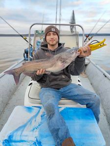 Angler with a big blue catfish caught in Burleson