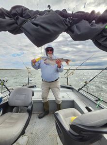 Blue catfish caught while fishing in Burleson