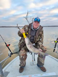 Image of a blue catfish caught while fishing in TX