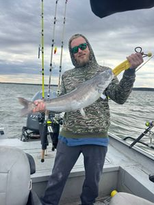 Fisherman casting a line in Burleson