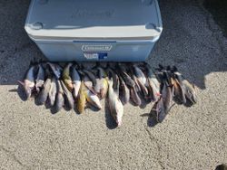 Fishing in TX