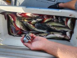 Outdoor fishing adventure in TX