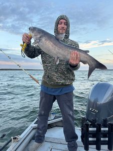 Angler catching a white catfish in TX