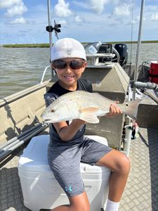 A single Southern Kingcroaker fish caught while fishing in TX