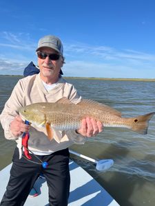 Redfish caught while fishing in Galveston