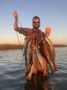 Four spotted weakfish caught while fishing in Galveston