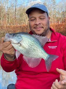 Lake Lanier Freshwater Fishing in Georgia