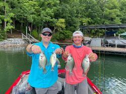 Crappie in Lake Lanier 