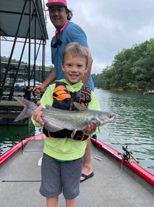 Blue Catfish from Lake Lanier 