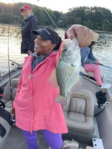 Reeling in the Crappie good times In Lake Lanier 