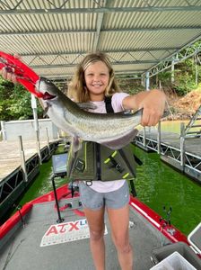 Blue Catfish caught fishing in Gainesville
