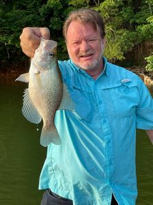Crappie fish caught in GA
