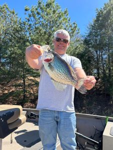 Caught a crappie fish in Gainesville