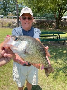 A fisherman holding a crappie fish in Gainesville