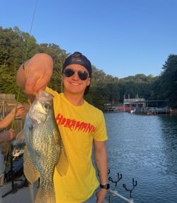 Freshly caught crappie being held up on fishing boat in Gainesville GA lake