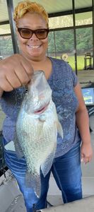 Crappie fish caught in GA
