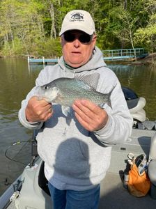 A crappie fish caught in Gainesville