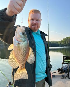 Crappie fish caught while fishing in GA