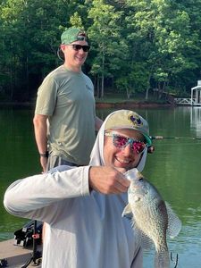 Crappie fish caught in Gainesville